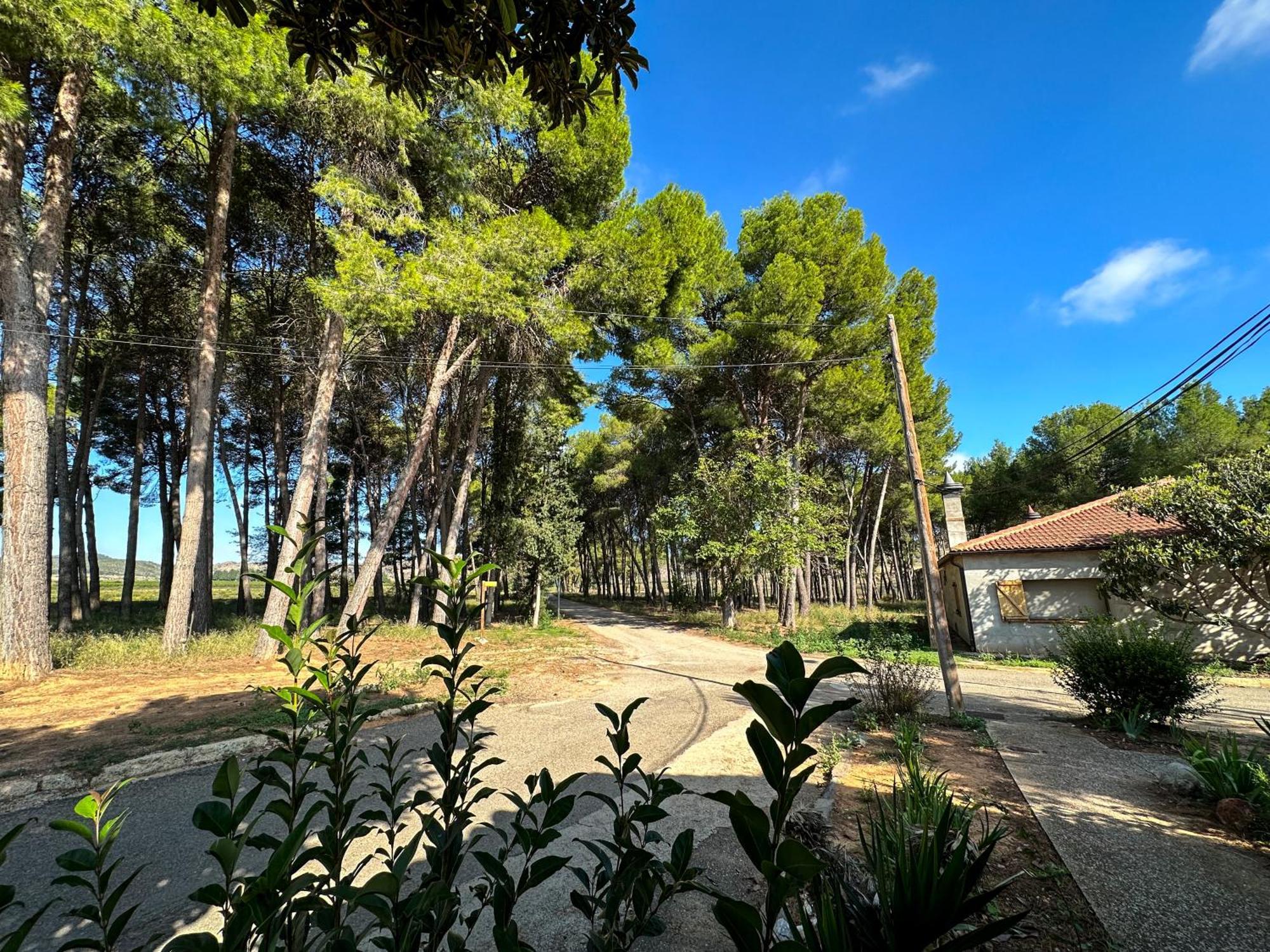 Casa Rural Los Pinos Valmuel Esterno foto