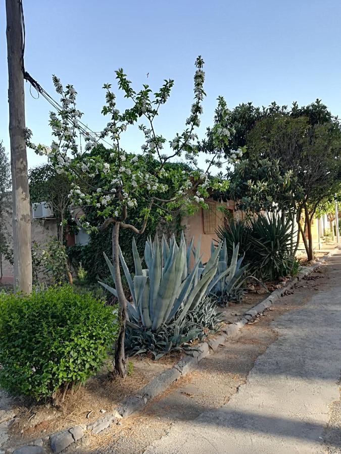 Casa Rural Los Pinos Valmuel Esterno foto
